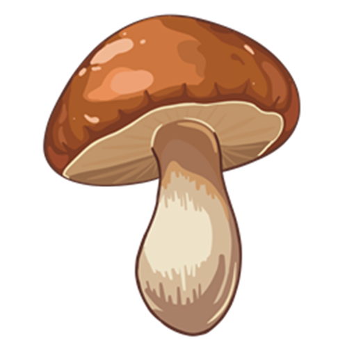 Serious Mushrooms